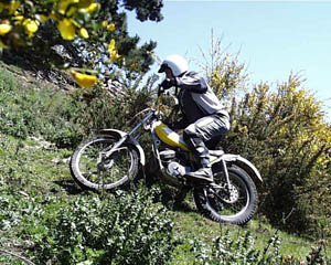 Classic Trials at Mt Thomas, Yamaha TY 175